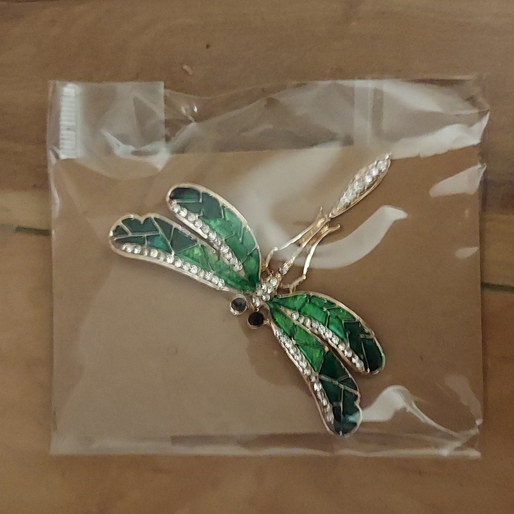 Dragonfly pin